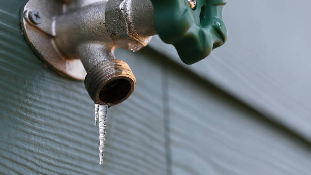 Best Emergency Plumber  in Lake Leann, MI
