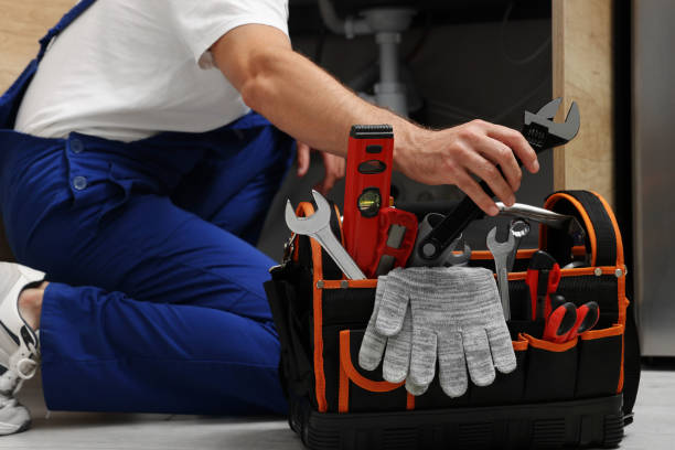Best 24-Hour Plumber Near Me  in Lake Leann, MI